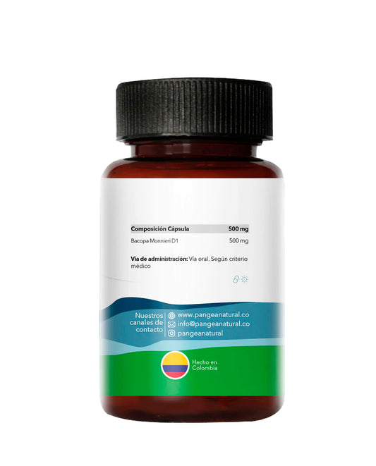 Cápsulas de Bacopa Monnieri Pangea, frasco de suplemento natural para potenciar la memoria y el enfoque.