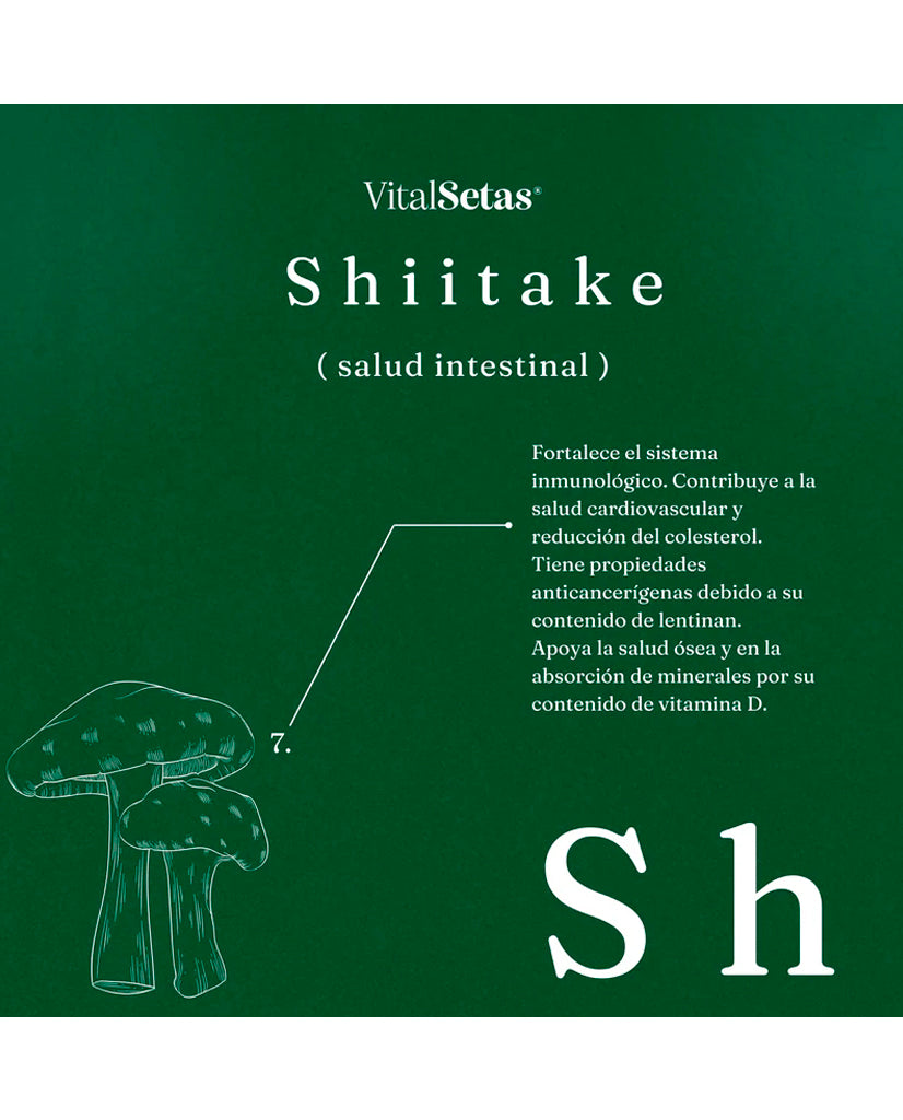 Cápsulas Shiitake "Vital setas" 60 cáps