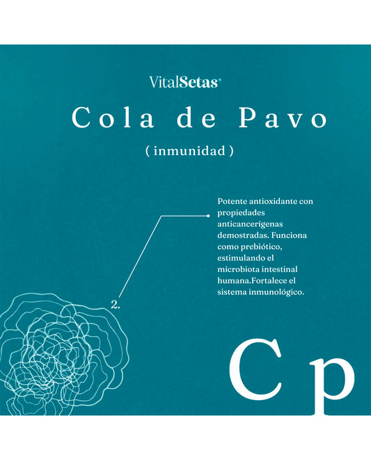 Cápsulas Cola de pavo "Vital setas" 60 cáps