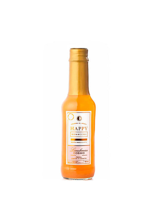 Cosmo Happy kombucha 160 ml