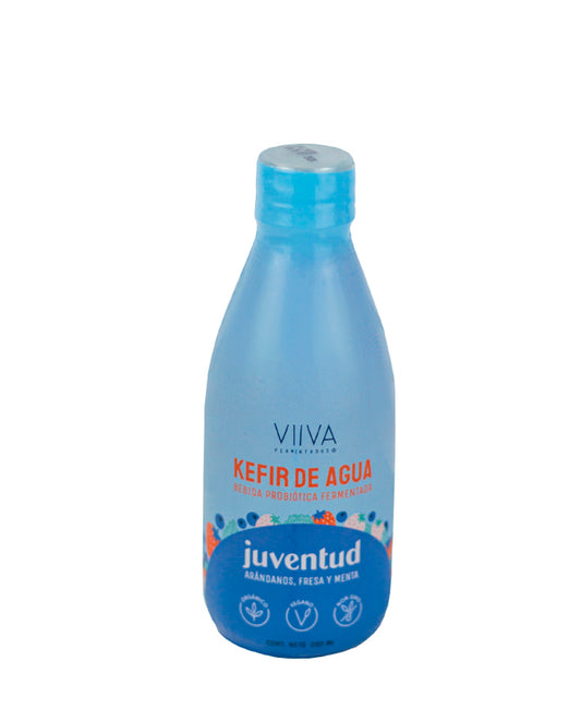 Kéfir en agua juventud Viiva 280 ml