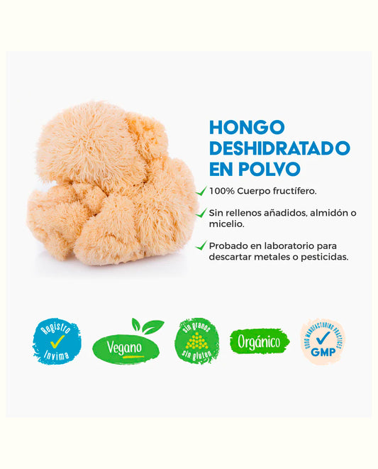 Galletas para perros con hongos funcionales "VitalPets" 10 Unds