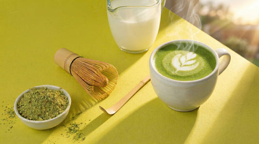 Preparación tradicional de té matcha con batidor de bambú chasen y espuma fina.