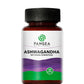 Frasco de Ashwagandha Pangea, cápsulas de suplemento adaptógeno para el balance y control del estrés.