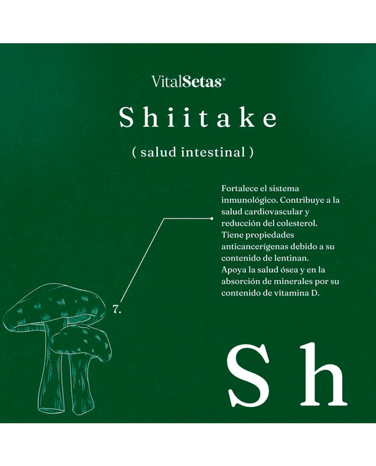 Cápsulas Shiitake "Vital setas" 60 cáps