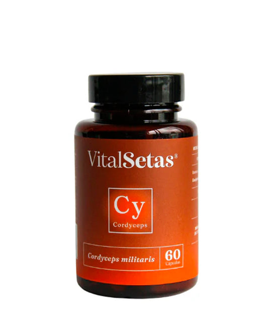 Cápsulas Cordyceps "Vital setas" 60 cáps