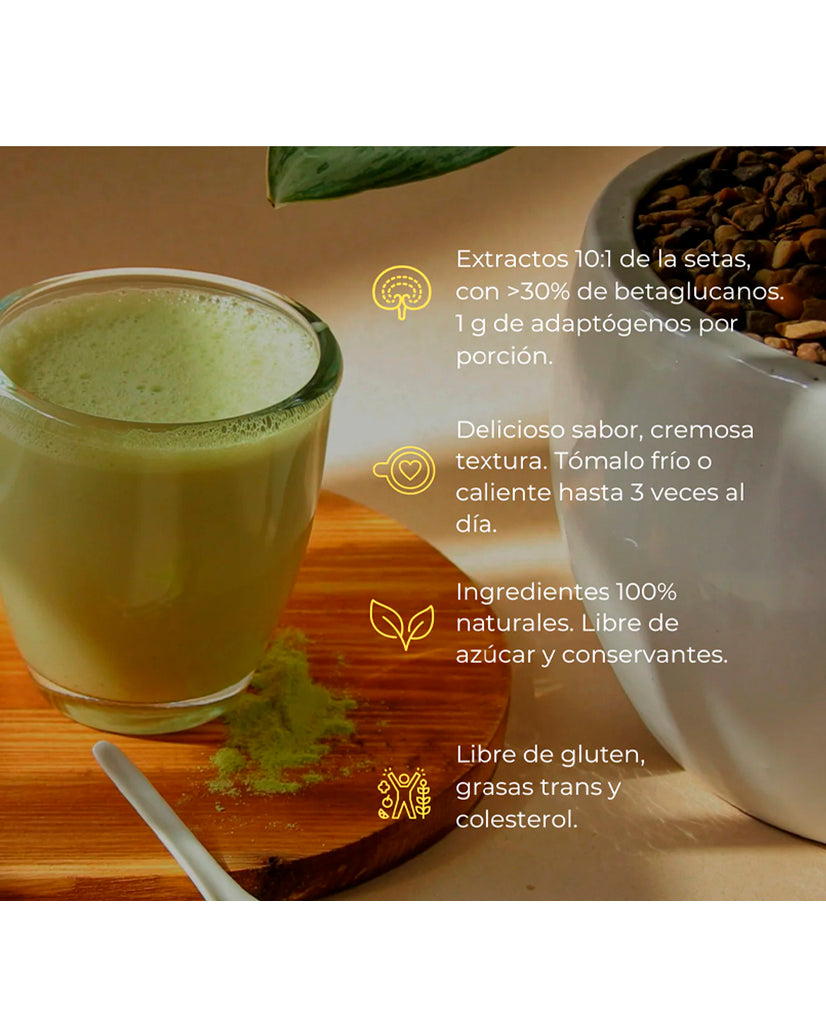 Beneficios de Matcha, reishi y la melena de león.