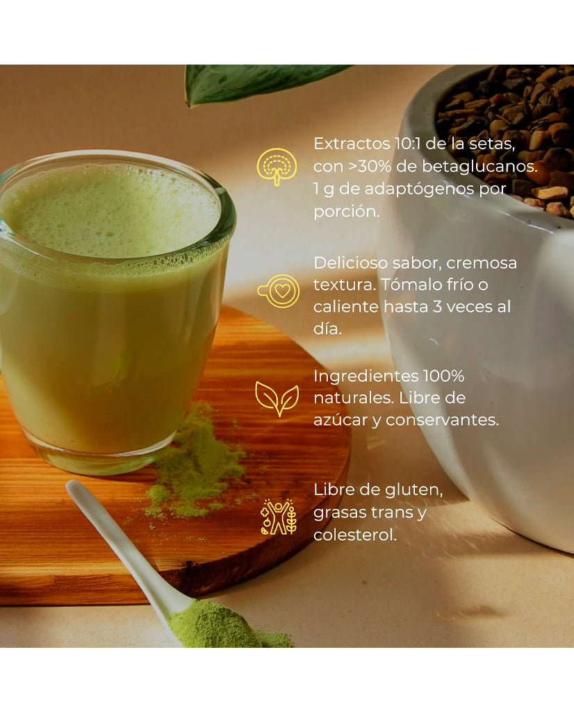 El corazón me latte té matcha Vital setas 300 gr