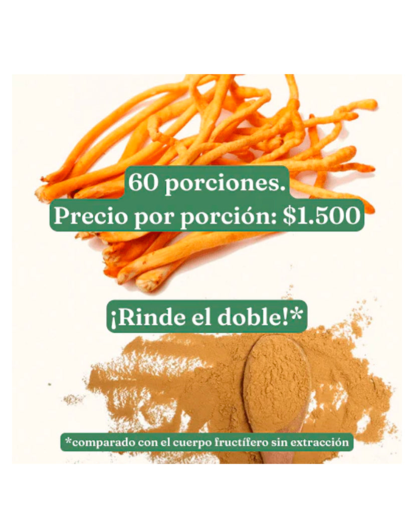 Extracto de Cordyceps Vital Setas 60 gr