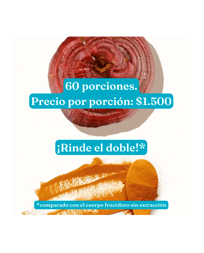 Extracto de Reishi vital Setas 60 gr