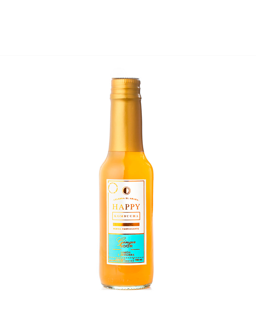 Ginger sour Happy kombucha 160 ml