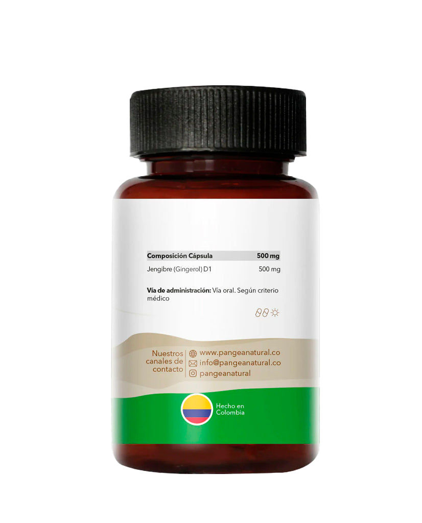 Jengibre en cápsulas Pangea, frasco de extracto funcional con propiedades antiinflamatorias naturales.