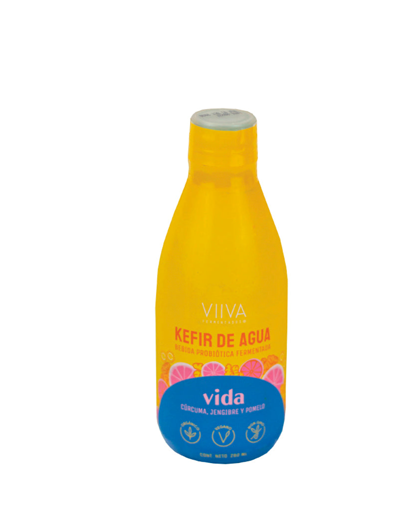 Kéfir en agua vida Viiva 280 ml