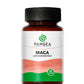 Cápsulas de Maca Pangea, suplemento funcional para aumentar la energía y vitalidad diaria.
