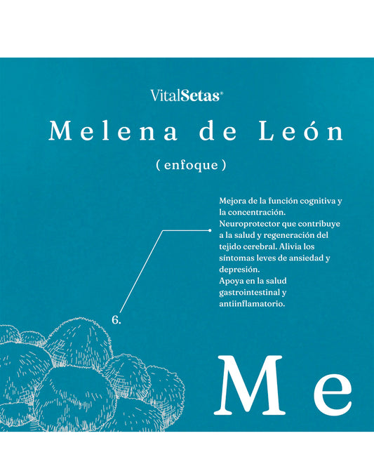 Cápsulas Melena de leòn Vital setas Hongo Funcional