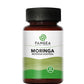 Moringa cápsulas frasco x 60 caps de Pangea