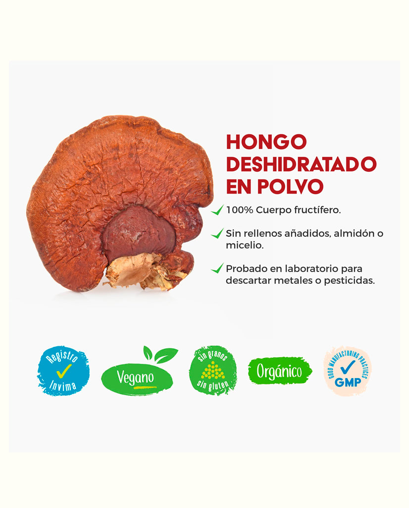 Galletas para perros con hongos funcionales "VitalPets" 10 Unds